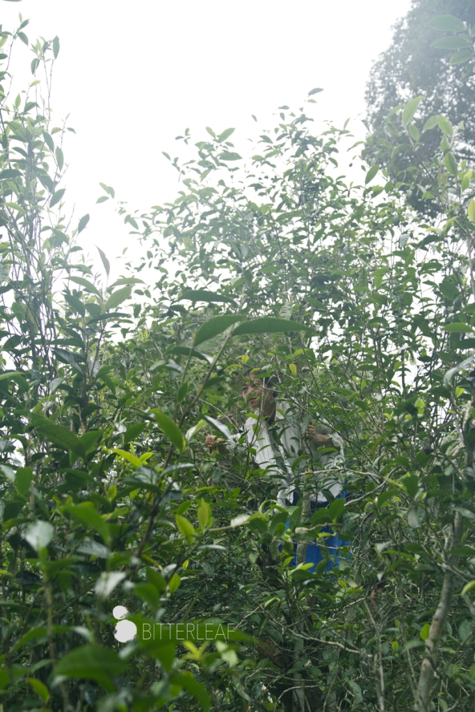 Four Days in Yiwu