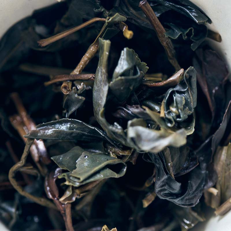 dragon blood 2015 zijuan purple tea 04 | BITTERLEAF TEAS dragon blood 2015 zijuan purple tea 04 | BITTERLEAF TEAS