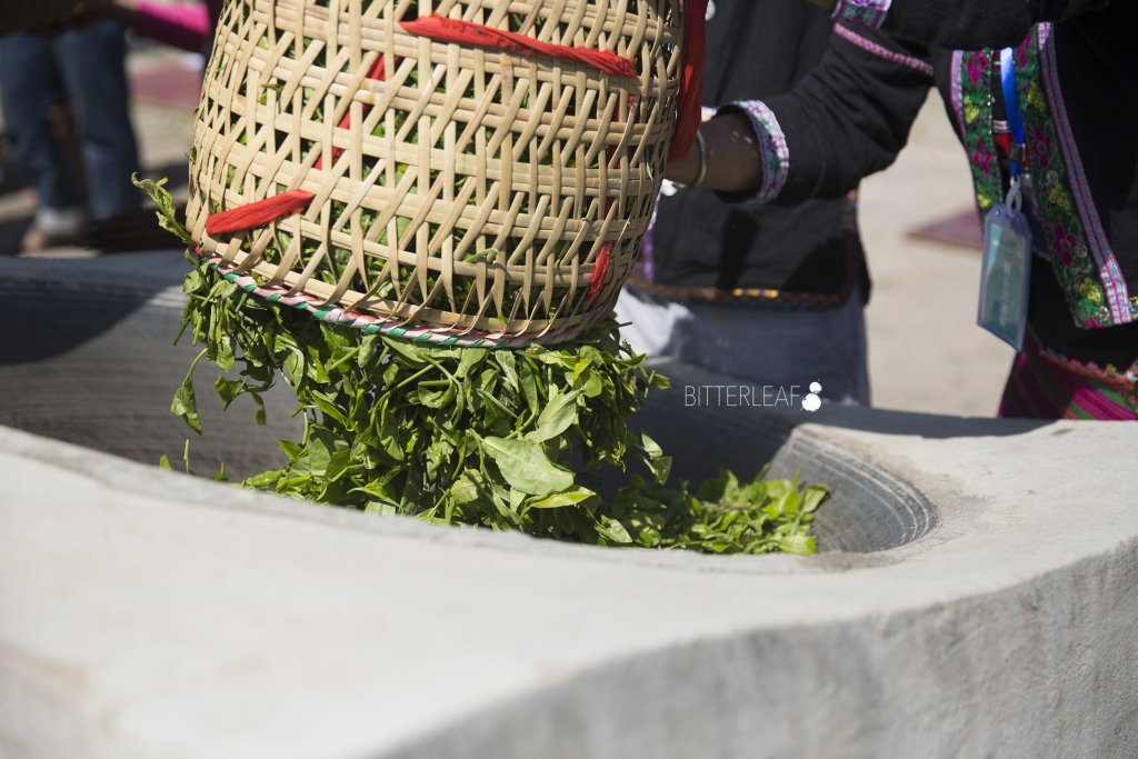 2016 Yiwu Tea Competition in Pictures
