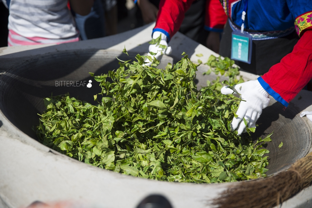 2016 Yiwu Tea Competition in Pictures