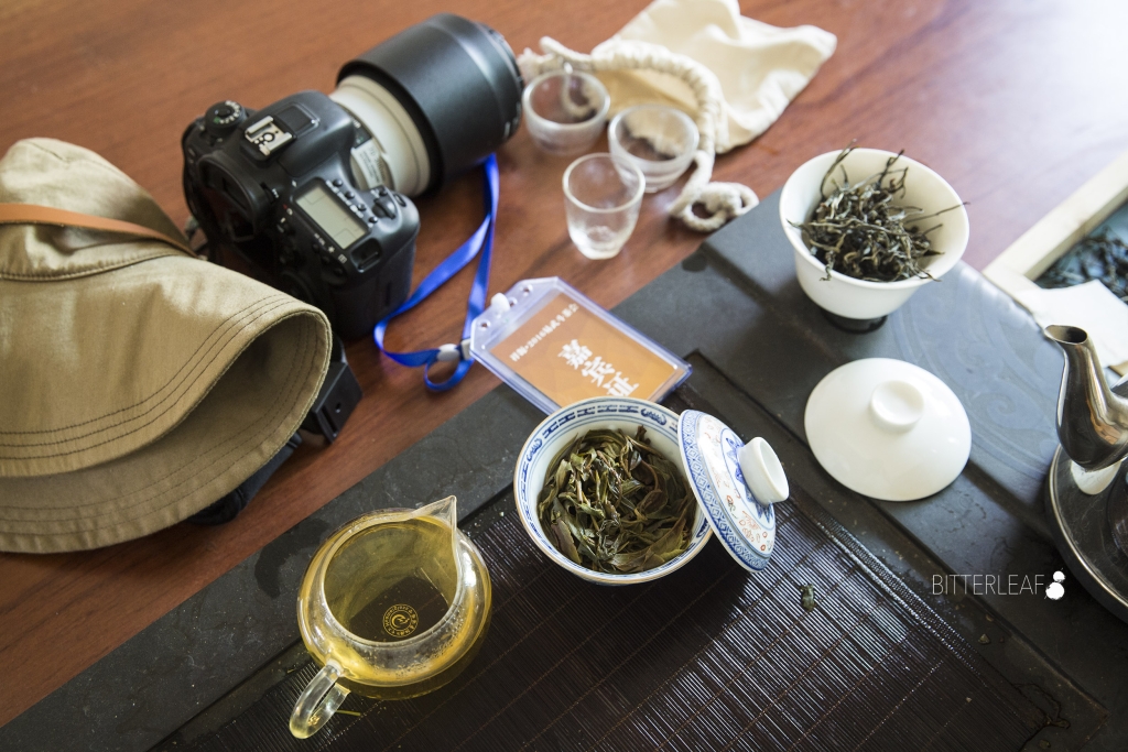 2016 Yiwu Tea Competition in Pictures