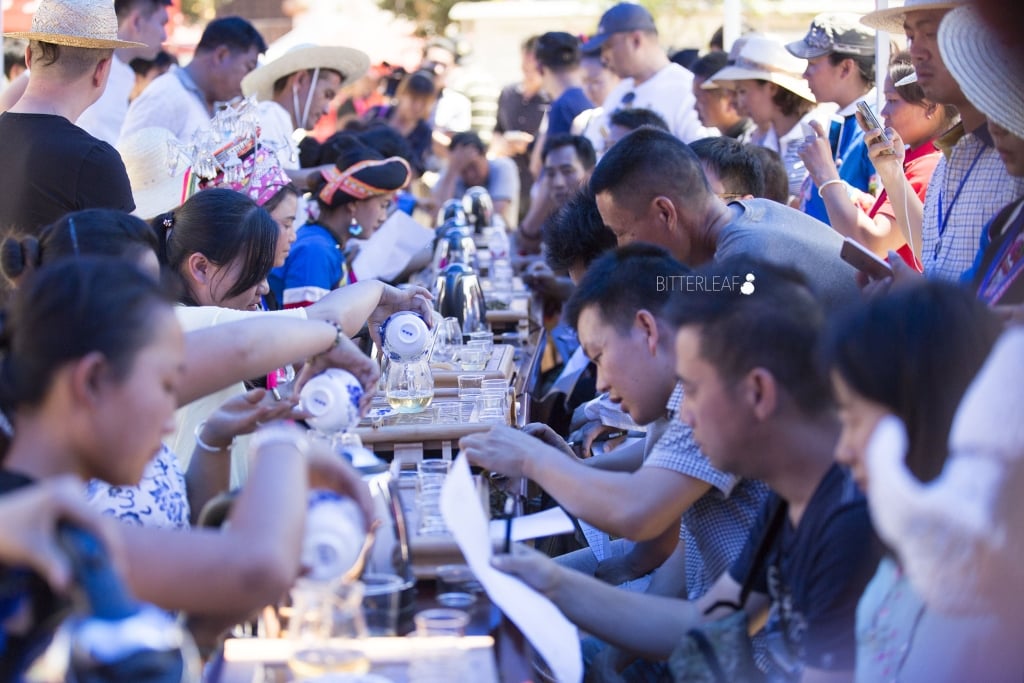 2016 Yiwu Tea Competition in Pictures