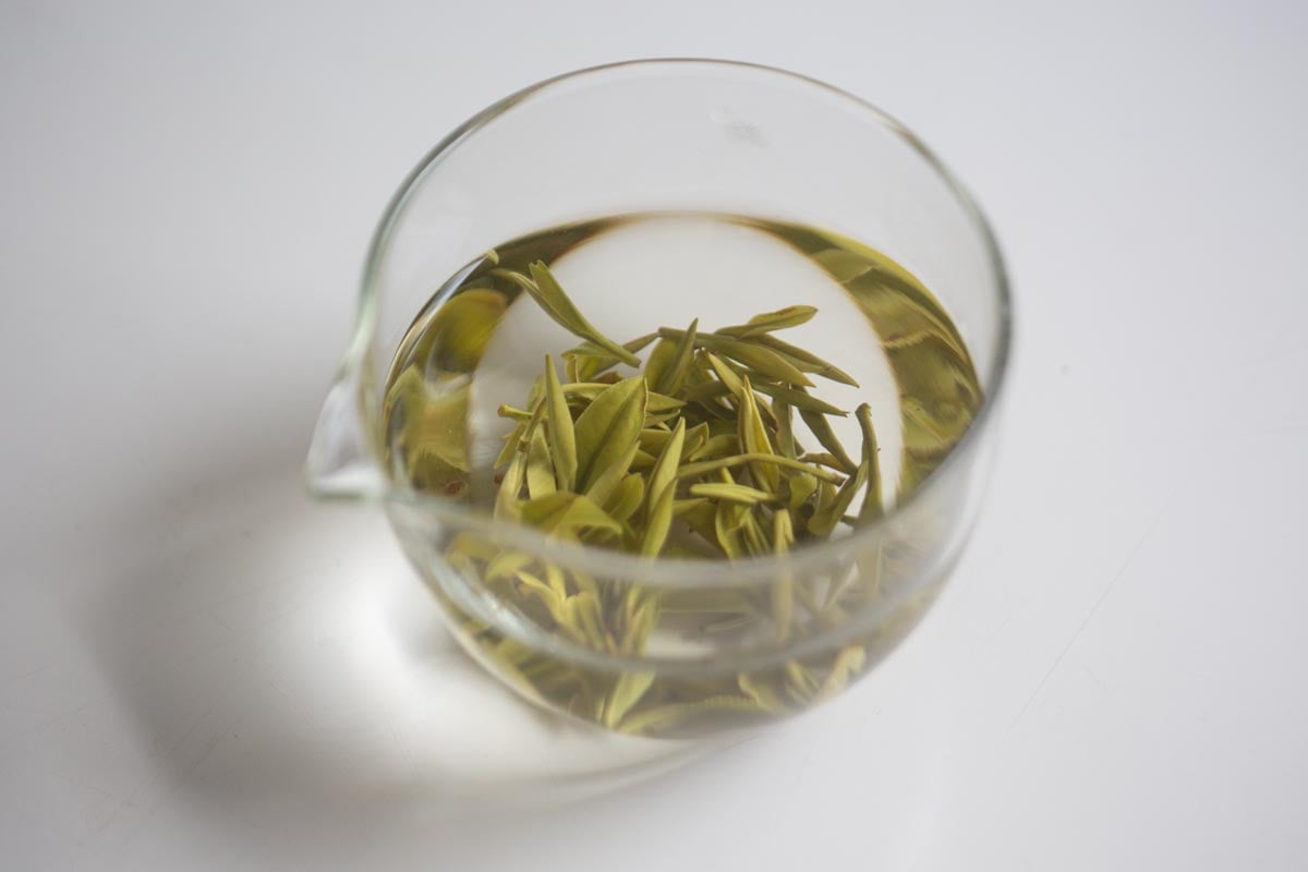 dew glass gongdaobei 4 26 2 | BITTERLEAF TEAS