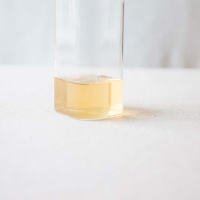 alterego huang pian raw puer 5 | BITTERLEAF TEAS