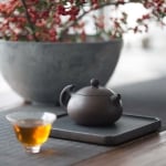 Apsara Bian Xi Shi Jianshui Zitao Purple Clay Teapot