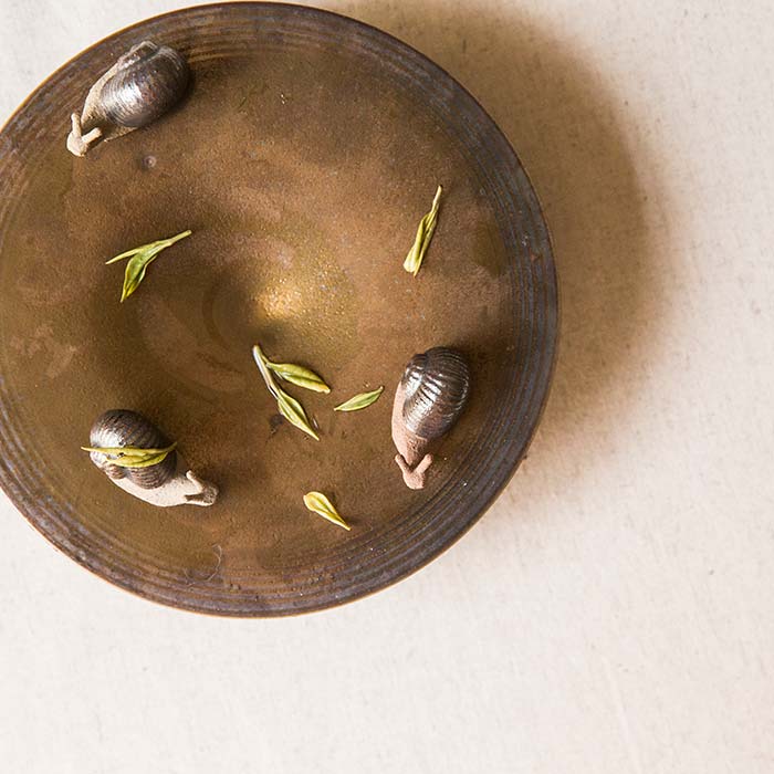 snail teapet 12 | BITTERLEAF TEAS snail teapet 12 | BITTERLEAF TEAS