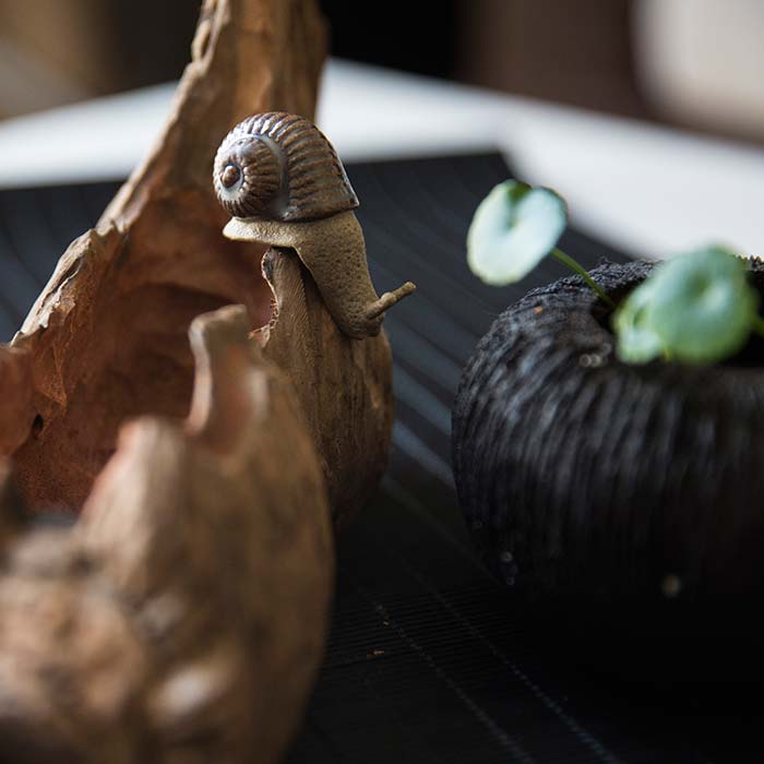 snail teapet 4 | BITTERLEAF TEAS snail teapet 4 | BITTERLEAF TEAS