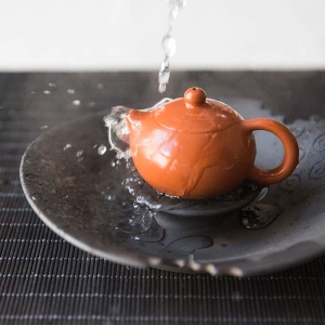 chaozhou-zhun-clay-xishi-teapot-2-2
