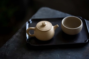 jianshui-zitao-mini-shipiao-teapot-white-10-19-1