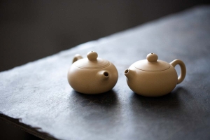 jianshui-zitao-mini-xishi-teapot-white-10-19-1