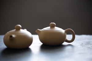 Jianshui Zitao Purple Clay Mini Teapot - White