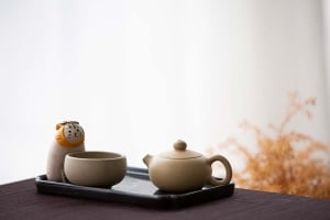 jianshui-zitao-mini-xishi-teapot-white-10-19-8