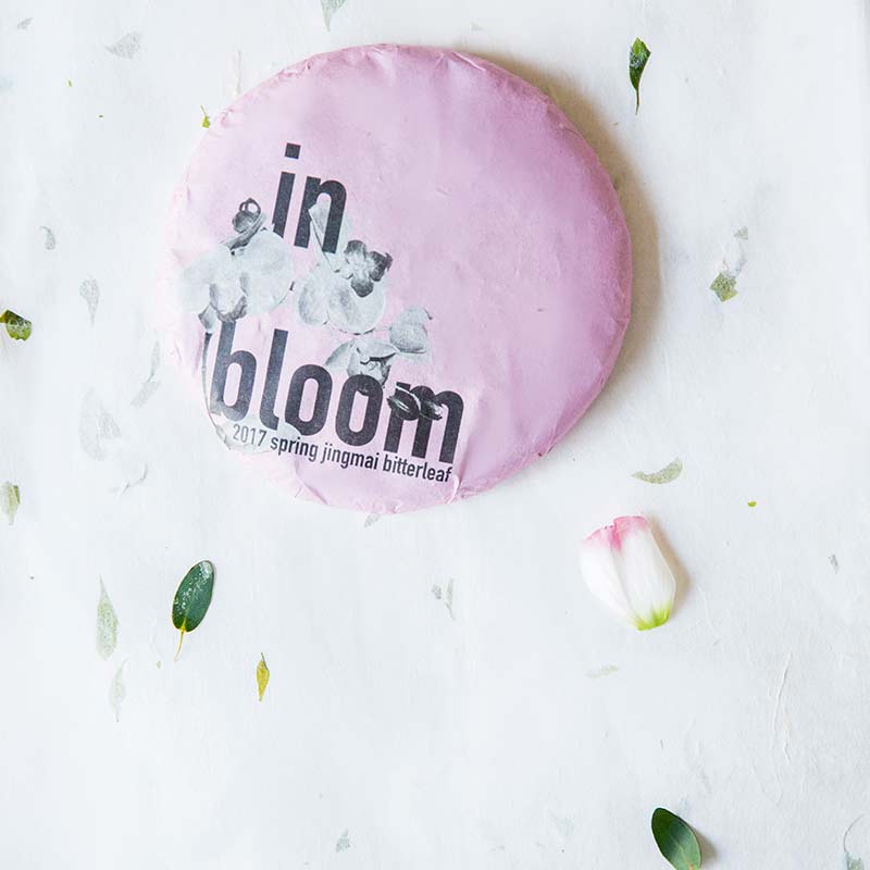 in bloom 2017 jingmai raw puer 3 | BITTERLEAF TEAS in bloom 2017 jingmai raw puer 3 | BITTERLEAF TEAS