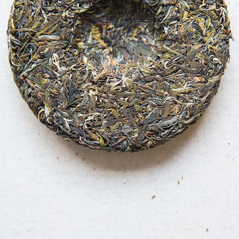in bloom 2017 jingmai raw puer 5 | BITTERLEAF TEAS in bloom 2017 jingmai raw puer 5 | BITTERLEAF TEAS