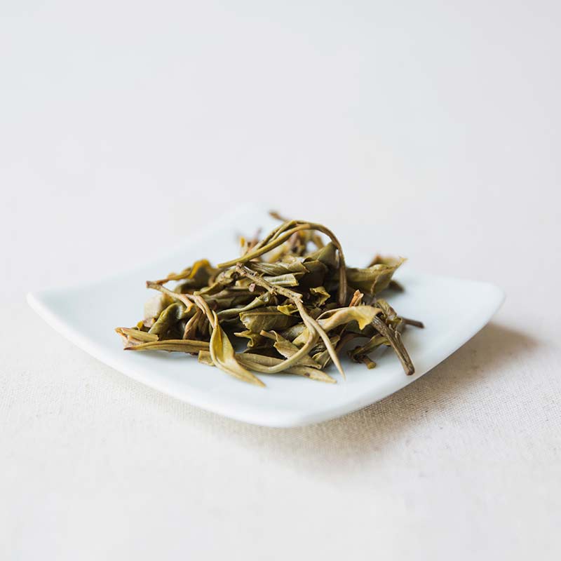 wmd mansa ancient tree raw puer 2 | BITTERLEAF TEAS wmd mansa ancient tree raw puer 2 | BITTERLEAF TEAS