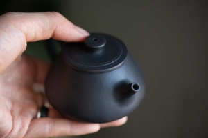 jianshui-zitao-mini-shipiao-teapot-black-10-19-5