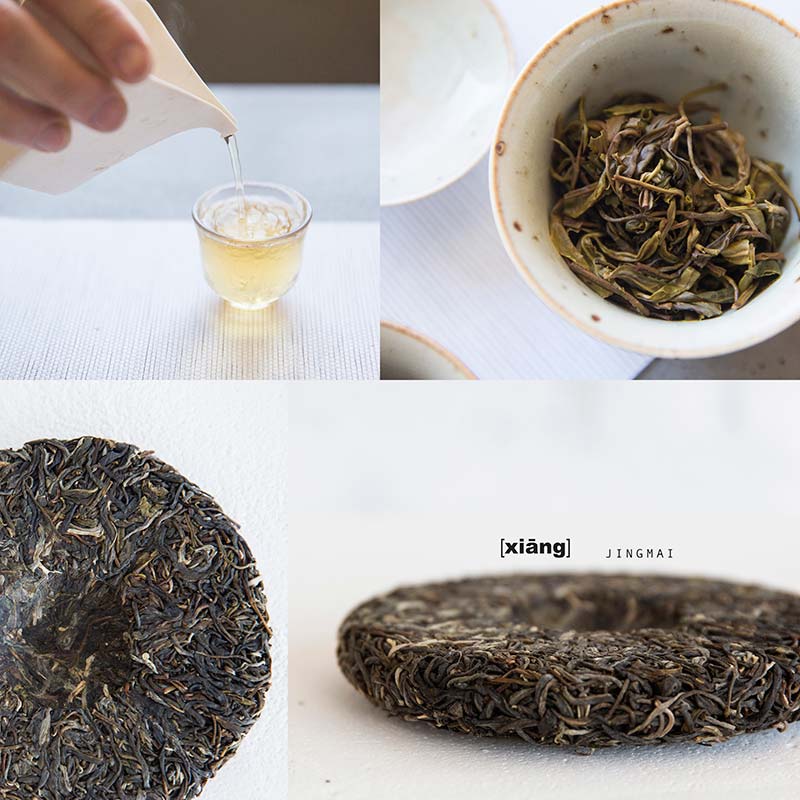 palate raw puer tasting set 12 | BITTERLEAF TEAS