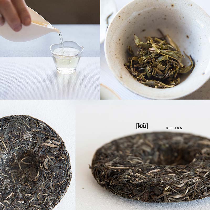 palate raw puer tasting set 9 | BITTERLEAF TEAS