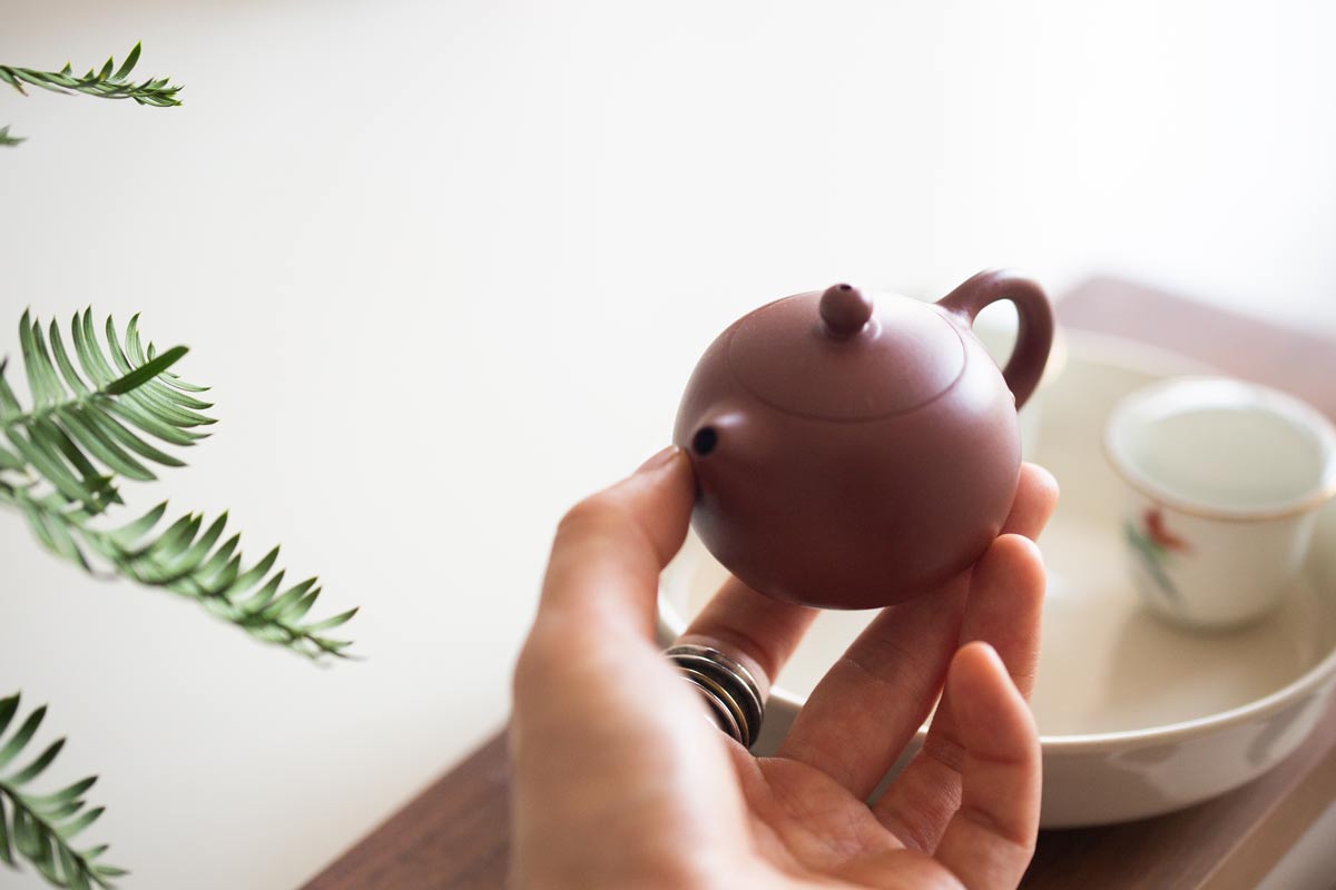 chaozhou-clay-xishi-teapot-7-23-5