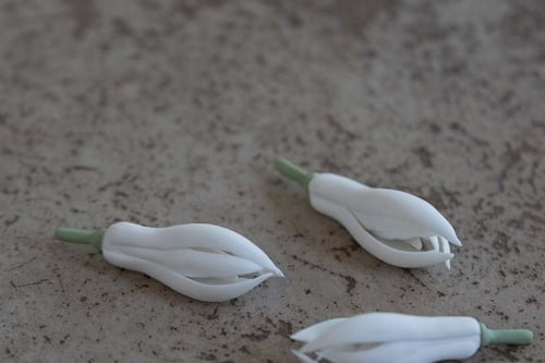 Mian Gui Flower Tea Pet