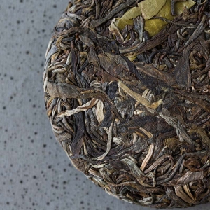 beast-lao-ban-zhang-raw-puer-6