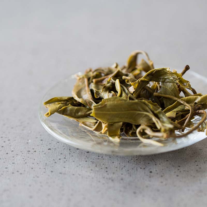 bitter end lao man e raw puer 8 | BITTERLEAF TEAS bitter end lao man e raw puer 8 | BITTERLEAF TEAS