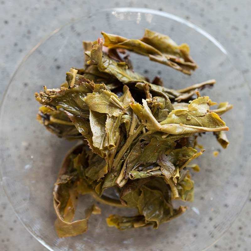 bitter end lite lao man e raw puer 8 | BITTERLEAF TEAS bitter end lite lao man e raw puer 8 | BITTERLEAF TEAS