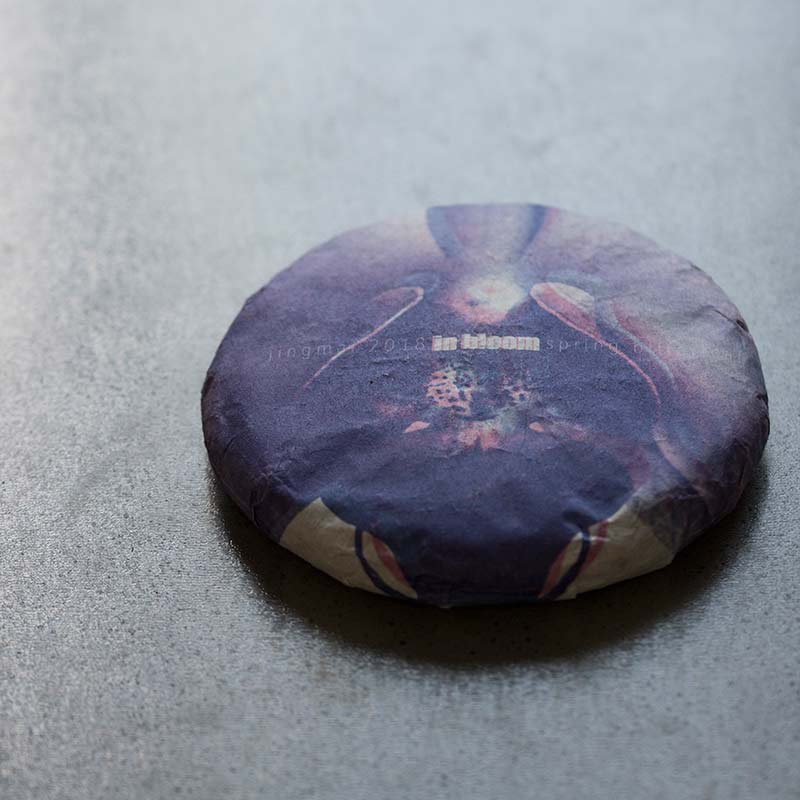 in bloom jingmai raw puer 2 | BITTERLEAF TEAS