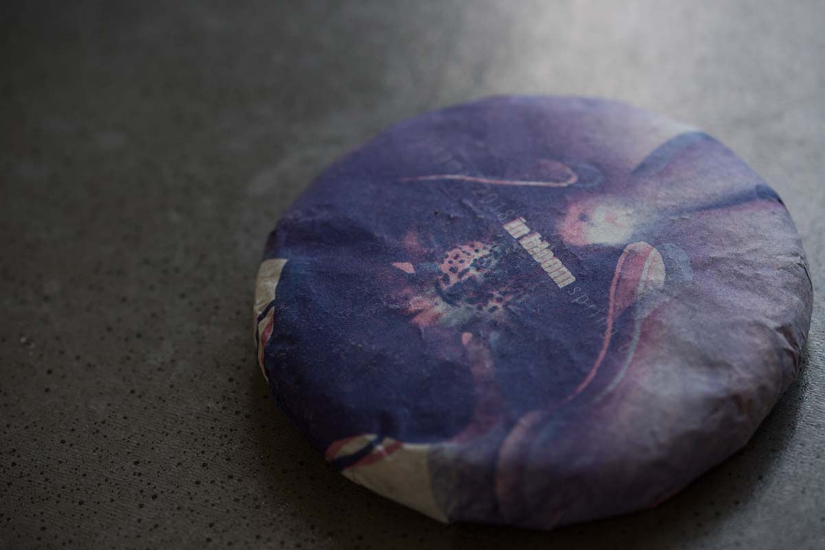 in bloom jingmai raw puer 3 | BITTERLEAF TEAS