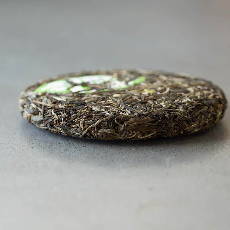 in bloom jingmai raw puer 4 | BITTERLEAF TEAS