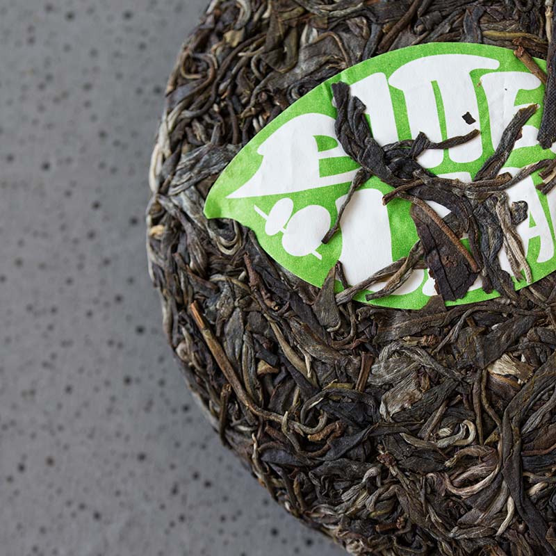 in bloom jingmai raw puer 5 | BITTERLEAF TEAS