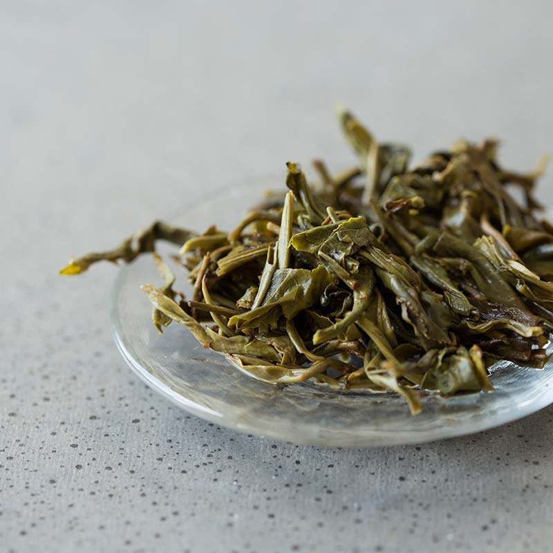in bloom jingmai raw puer 8 | BITTERLEAF TEAS