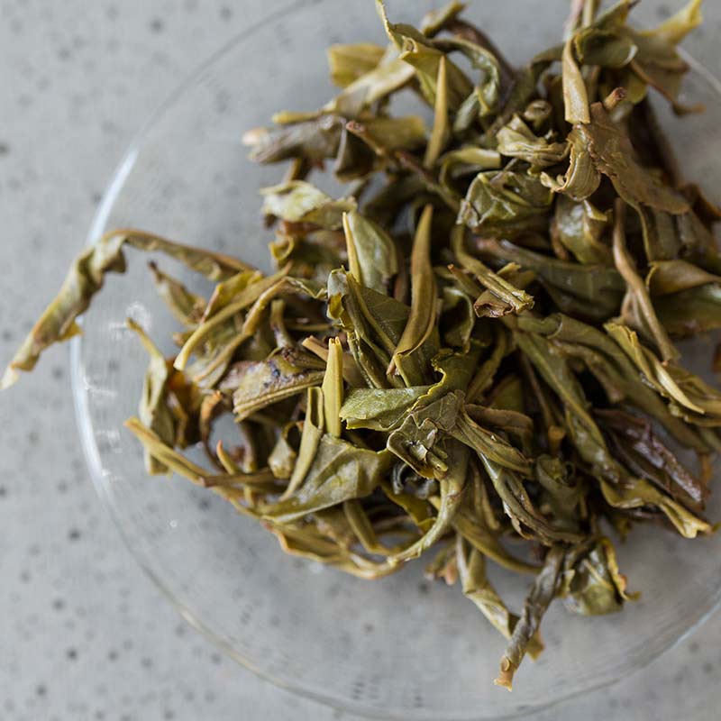 in bloom jingmai raw puer 9 | BITTERLEAF TEAS