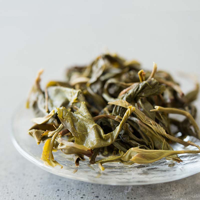 year of the dog yiwu raw puer 8 | BITTERLEAF TEAS
