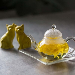 fenetre-glass-teapot-9