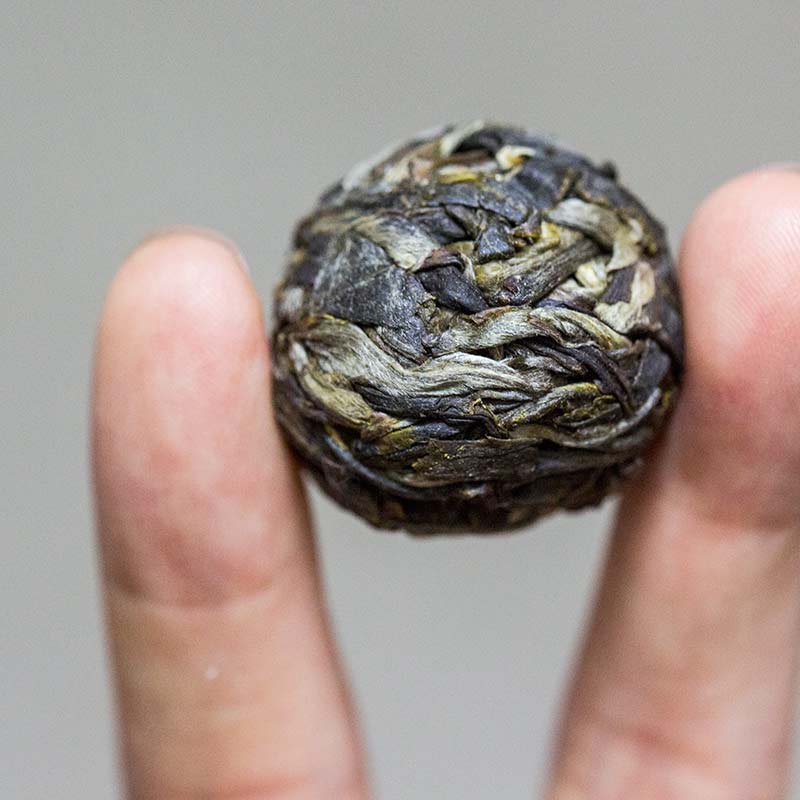 spring 2018 outlier myanmar raw puer 2 | BITTERLEAF TEAS