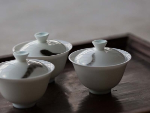 hide seek gaiwan 1 | BITTERLEAF TEAS