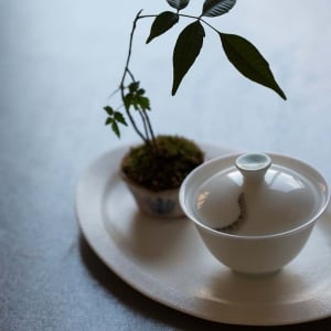 hide-seek-gaiwan-12