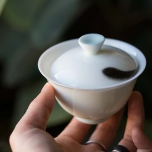 hide-seek-gaiwan-7