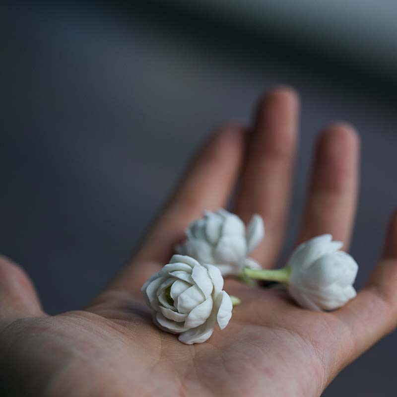 jasmine flower tea pet 2 | BITTERLEAF TEAS