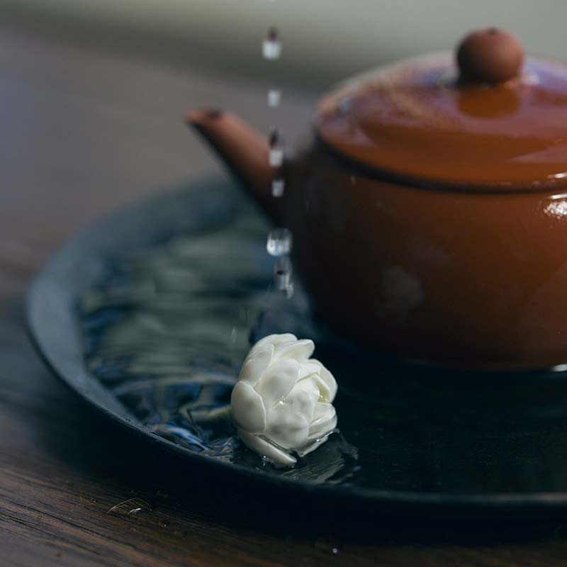 Jasmine Flower Tea Pet BITTERLEAF TEAS