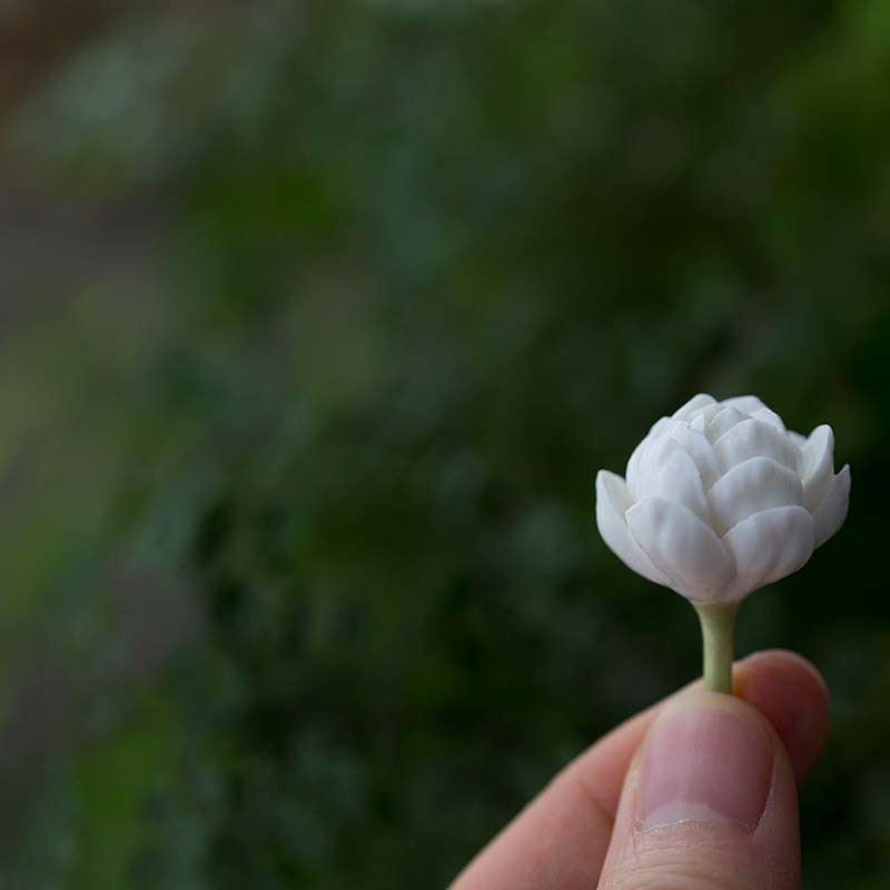 jasmine flower tea pet 6 | BITTERLEAF TEAS