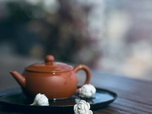 jasmine flower tea pet 7 | BITTERLEAF TEAS