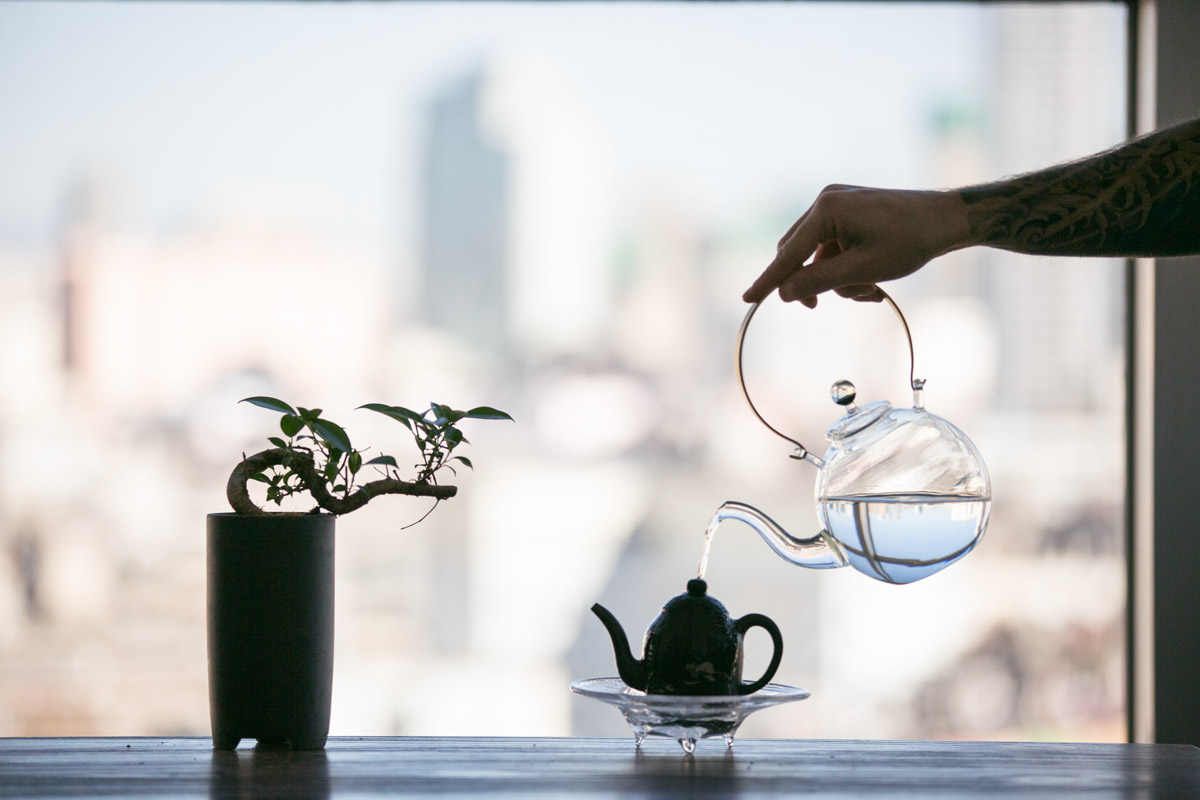 o2 universe glass boiler kettle 12 | BITTERLEAF TEAS o2 universe glass boiler kettle 12 | BITTERLEAF TEAS