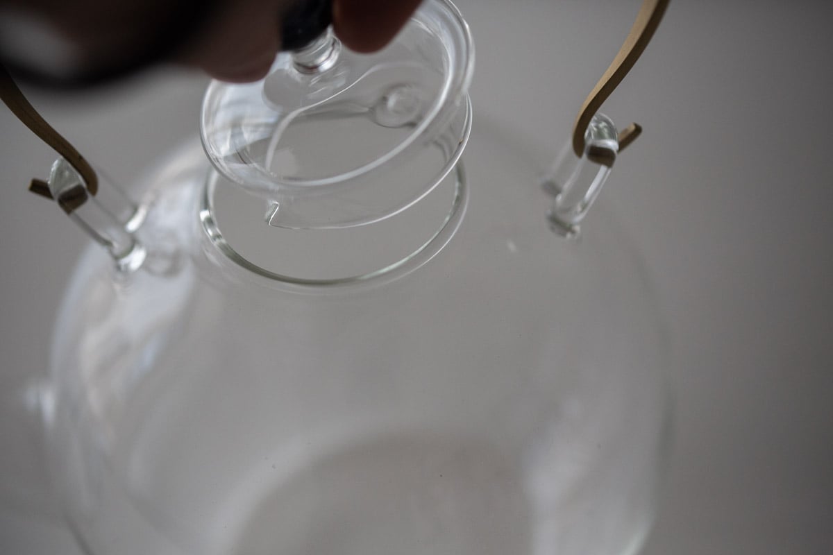 o2 universe glass boiler kettle 5 | BITTERLEAF TEAS o2 universe glass boiler kettle 5 | BITTERLEAF TEAS