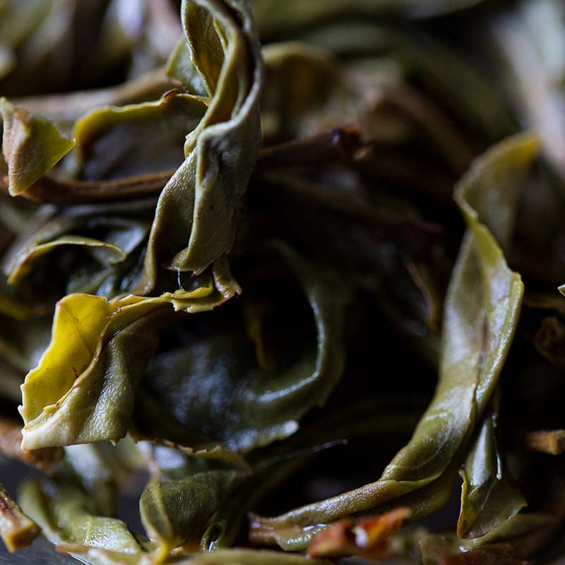 BOAT 2019 hekai raw puer 10 | BITTERLEAF TEAS