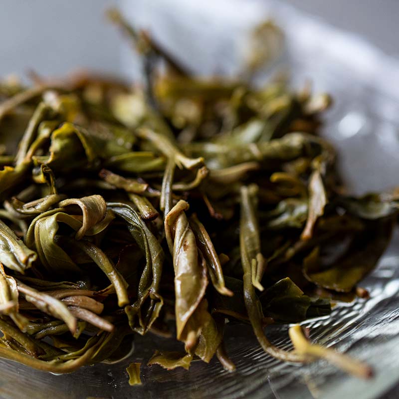 bitter end 2019 laomane raw puer 13 | BITTERLEAF TEAS bitter end 2019 laomane raw puer 13 | BITTERLEAF TEAS
