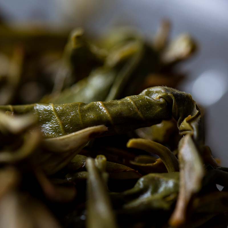 bitter end 2019 laomane raw puer 14 | BITTERLEAF TEAS bitter end 2019 laomane raw puer 14 | BITTERLEAF TEAS