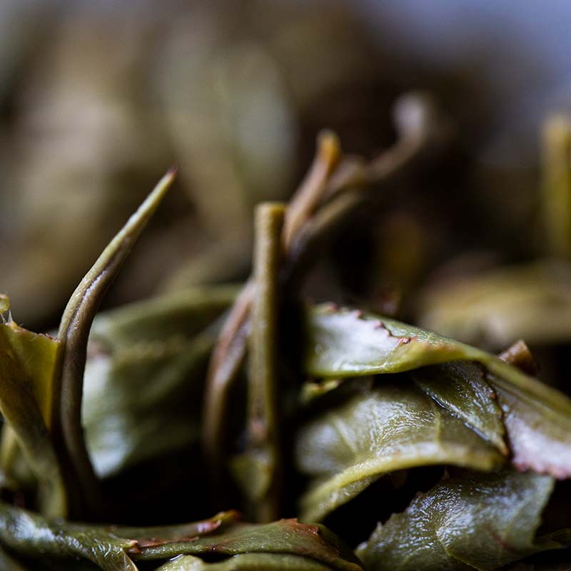 bitter end xtra 2019 laomane raw puer 10 | BITTERLEAF TEAS