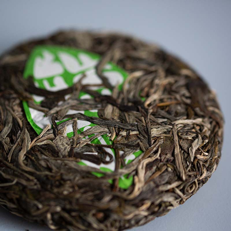 bitter end xtra 2019 laomane raw puer 6 | BITTERLEAF TEAS